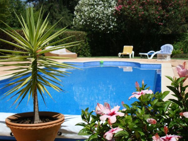 Pool Terrace Renovation in Post Falls