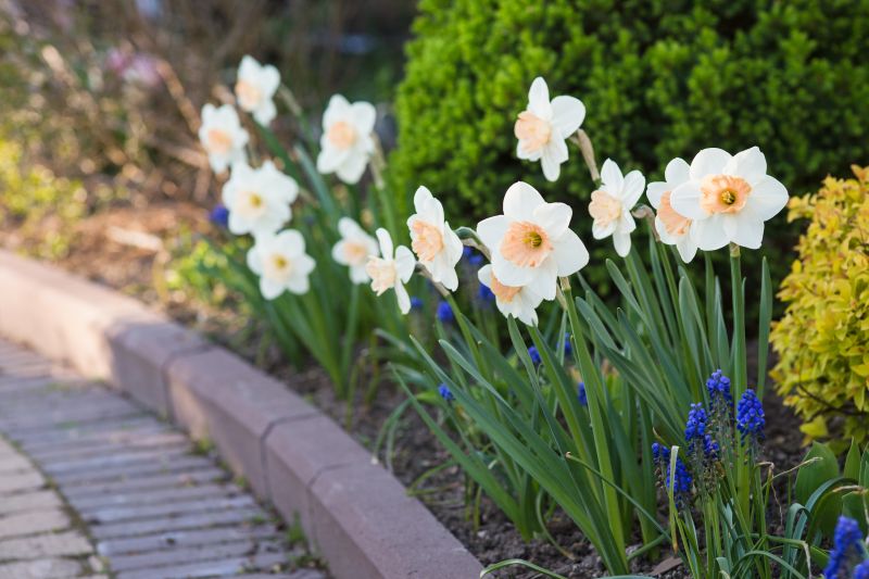 Decorative Paver Borders